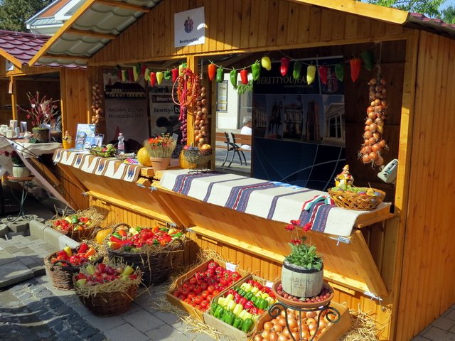 Megyei Közfoglalkoztatási Kiállítás 012